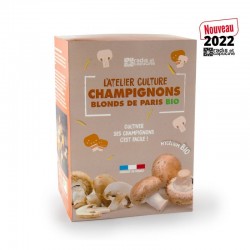 Kit culture champignons...
