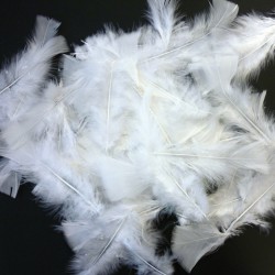 20 Plumes blanches 7 cm