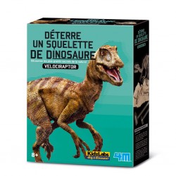 Kit Deterre ton dinosaure -...