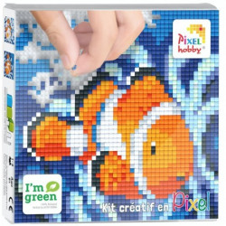 Kit 4 mini-plaques - Poisson