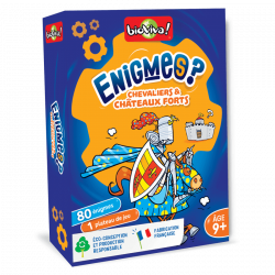 Enigmes - Chevalier et châteaux forts