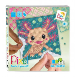 Kit 4 mini-plaques - Axolotl