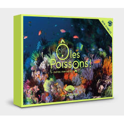Jeu de 12 familles - Ô les poissons et autres merveilles