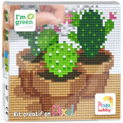 Kit 4 mini-plaques - Cactus