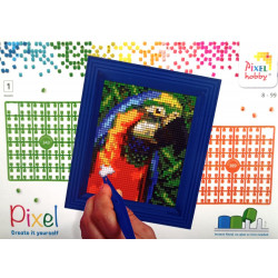 Kit complet 1 grande plaque pixel Perroquet