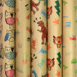 Rouleau de papier cadeau 70 cm x 2 m